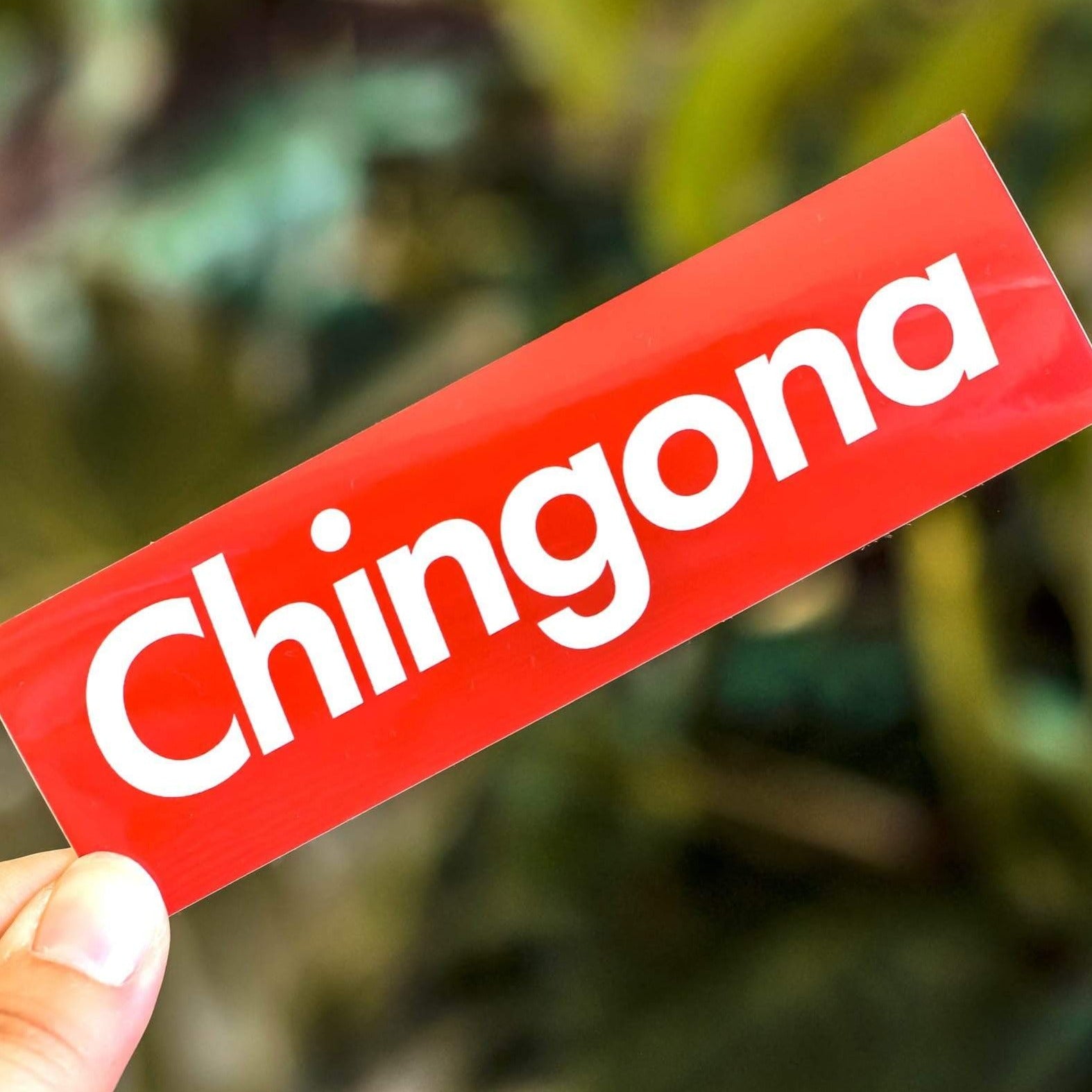 Chingona Sticker